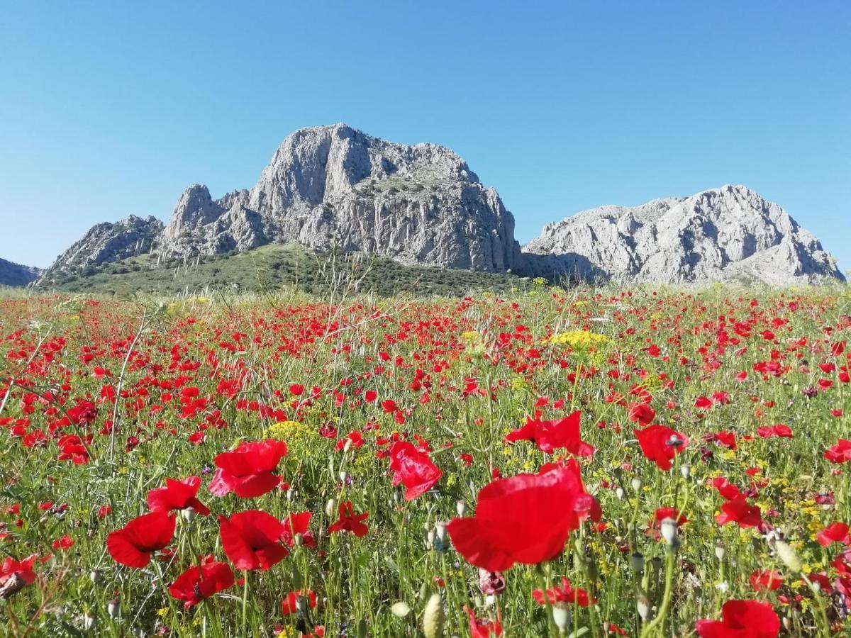 Casa Paz Y Mas Otel Ríogordo Dış mekan fotoğraf